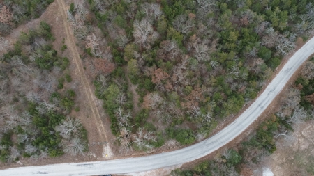 25 Secluded Acres in Protem, Missouri near Bull Shoals Lake - image 4