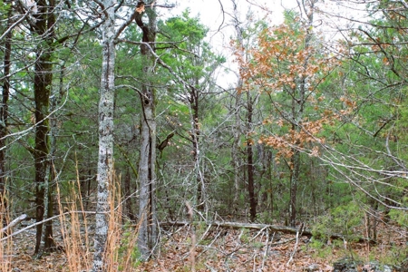 25 Secluded Acres in Protem, Missouri near Bull Shoals Lake - image 20