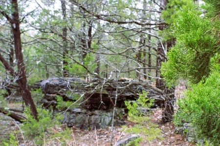 25 Secluded Acres in Protem, Missouri near Bull Shoals Lake - image 11