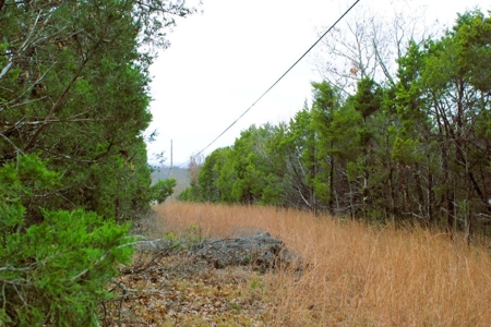 25 Secluded Acres in Protem, Missouri near Bull Shoals Lake - image 19