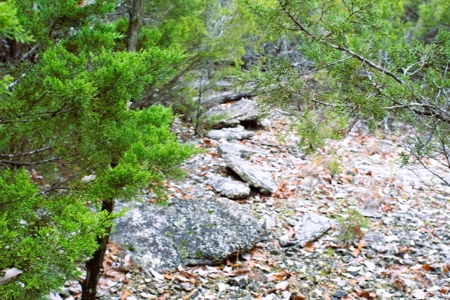 25 Secluded Acres in Protem, Missouri near Bull Shoals Lake - image 7