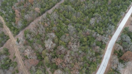25 Secluded Acres in Protem, Missouri near Bull Shoals Lake - image 3