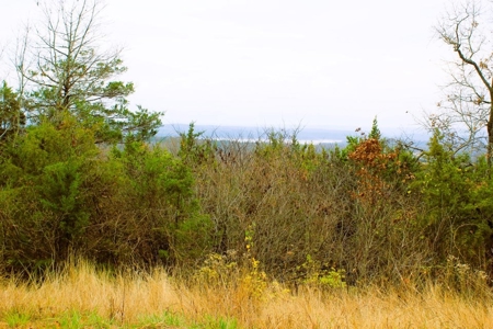 25 Secluded Acres in Protem, Missouri near Bull Shoals Lake - image 27