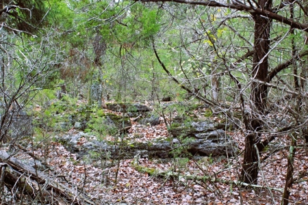 25 Secluded Acres in Protem, Missouri near Bull Shoals Lake - image 12