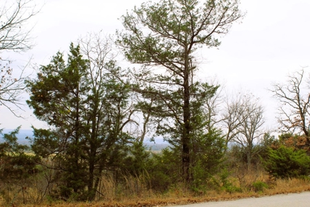 25 Secluded Acres in Protem, Missouri near Bull Shoals Lake - image 23