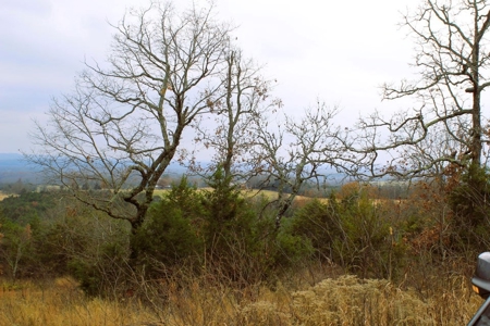 25 Secluded Acres in Protem, Missouri near Bull Shoals Lake - image 26