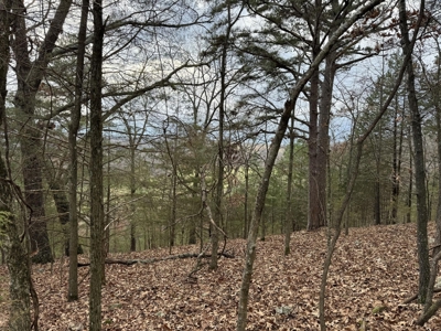 Land For Sale Along Long Creek Carroll Co, Ar Near Table Roc - image 2