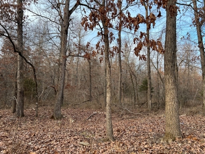 Acreage for Sale in Mammoth Spring, Arkansas - image 2