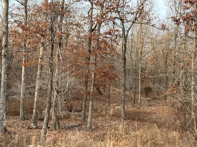 Acreage for Sale in Mammoth Spring, Arkansas - image 3