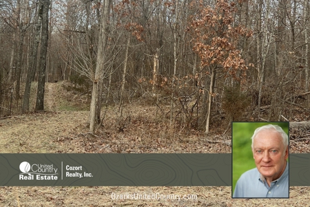 Acreage for Sale in Mammoth Spring, Arkansas - image 1