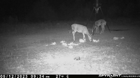 Recreational Hunting Property For Sale, Lincoln County, OK - image 1