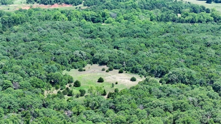 Recreational Hunting Property For Sale, Lincoln County, OK - image 5
