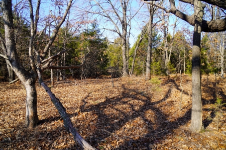 Recreational Hunting Property For Sale, Lincoln County, OK - image 22