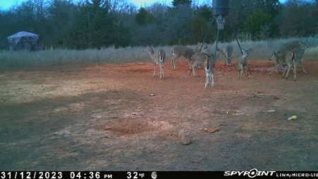 Recreational Hunting Property For Sale, Lincoln County, OK - image 20