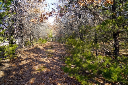 Recreational Hunting Property For Sale, Lincoln County, OK - image 21