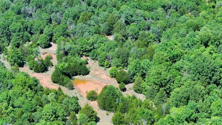 Recreational Hunting Property For Sale, Lincoln County, OK - image 6