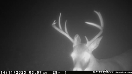 Recreational Hunting Property For Sale, Lincoln County, OK - image 3