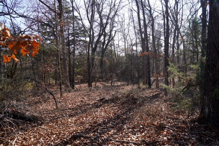 Recreational Hunting Property For Sale, Lincoln County, OK - image 24