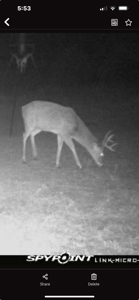 Recreational Hunting Property For Sale, Lincoln County, OK - image 2