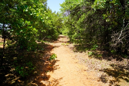 Recreational Hunting Property For Sale, Lincoln County, OK - image 15
