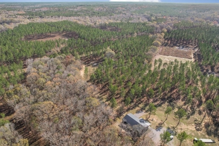 South MS River Frontage and Camp for Sale Copiah County MS - image 1