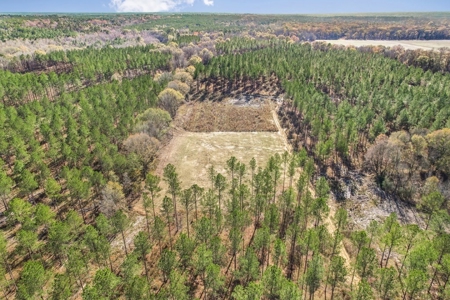 South MS River Frontage and Camp for Sale Copiah County MS - image 33