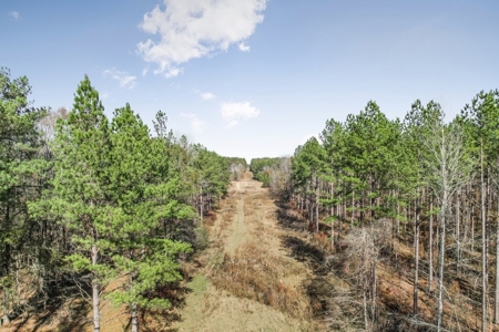 South MS River Frontage and Camp for Sale Copiah County MS - image 30