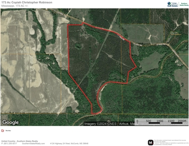South MS River Frontage and Camp for Sale Copiah County MS - image 35