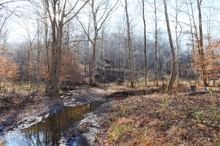 Super Hunting, River, Creeks, Pastures, Very Private, Woods - image 41