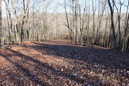 Super Hunting, River, Creeks, Pastures, Very Private, Woods - image 4