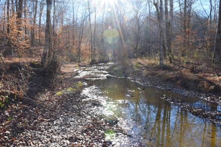 Super Hunting, River, Creeks, Pastures, Very Private, Woods - image 40