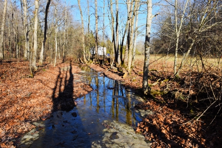 Super Hunting, River, Creeks, Pastures, Very Private, Woods - image 3