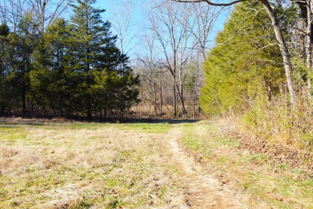 Super Hunting, River, Creeks, Pastures, Very Private, Woods - image 11