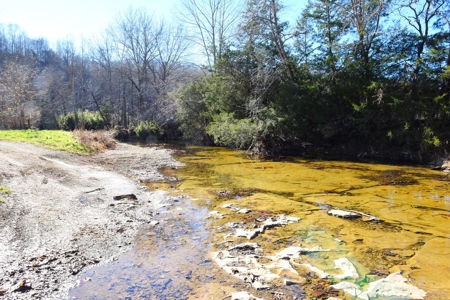 Super Hunting, River, Creeks, Pastures, Very Private, Woods - image 10