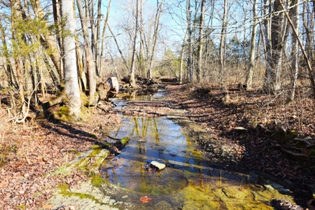 Super Hunting, River, Creeks, Pastures, Very Private, Woods - image 15