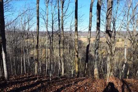 Super Hunting, River, Creeks, Pastures, Very Private, Woods - image 27