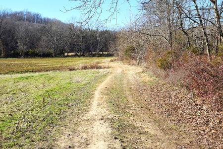 Super Hunting, River, Creeks, Pastures, Very Private, Woods - image 6