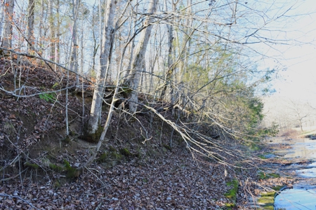Super Hunting, River, Creeks, Pastures, Very Private, Woods - image 19