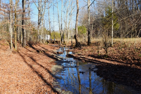 Super Hunting, River, Creeks, Pastures, Very Private, Woods - image 34