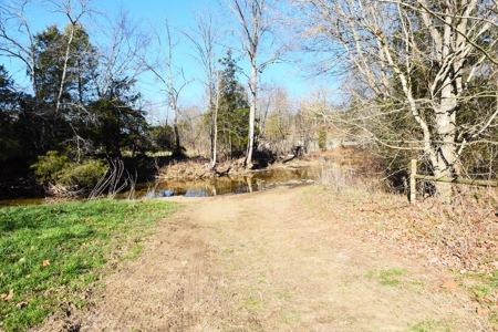 Super Hunting, River, Creeks, Pastures, Very Private, Woods - image 8