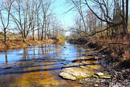 Super Hunting, River, Creeks, Pastures, Very Private, Woods - image 18