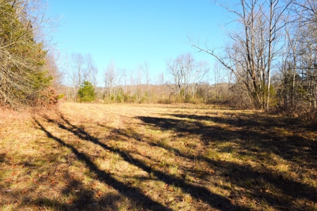 Super Hunting, River, Creeks, Pastures, Very Private, Woods - image 2