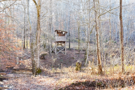 Super Hunting, River, Creeks, Pastures, Very Private, Woods - image 42