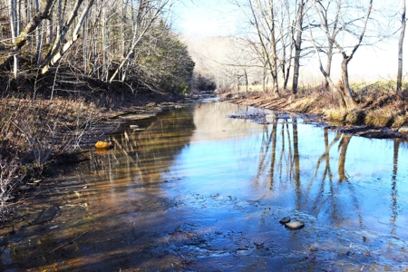 Super Hunting, River, Creeks, Pastures, Very Private, Woods - image 1