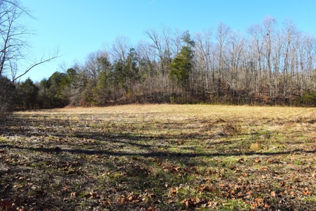 Super Hunting, River, Creeks, Pastures, Very Private, Woods - image 17