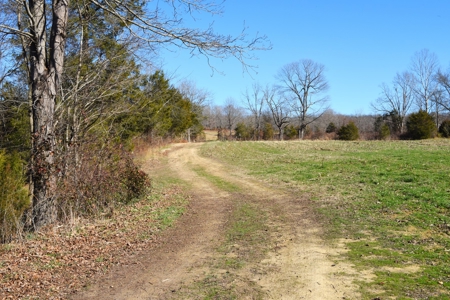 Super Hunting, River, Creeks, Pastures, Very Private, Woods - image 5