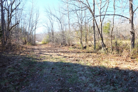 Super Hunting, River, Creeks, Pastures, Very Private, Woods - image 12