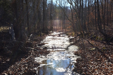 Super Hunting, River, Creeks, Pastures, Very Private, Woods - image 35
