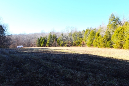 Super Hunting, River, Creeks, Pastures, Very Private, Woods - image 30