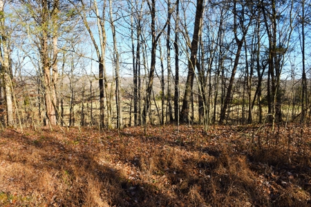 Super Hunting, River, Creeks, Pastures, Very Private, Woods - image 26
